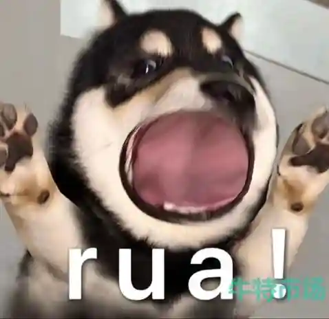 rua是什么技能插图1