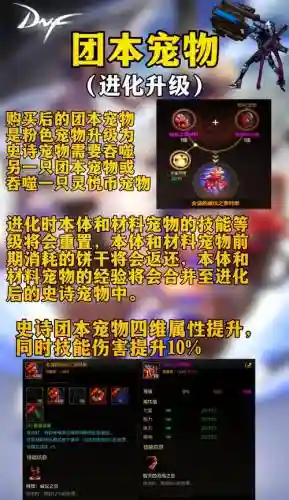 宠物装备能锁吗插图