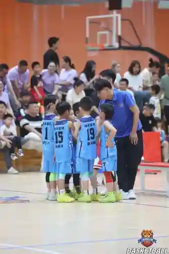 小篮球阵容搭配插图1