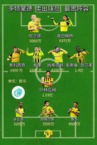 2019多特蒙德阵容_1插图1