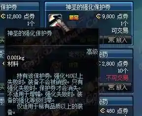 装备强化保护券说明插图