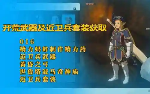 近卫兵武器插图1