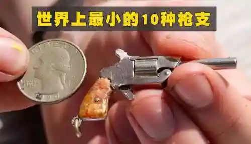 世界上最弱的武器插图