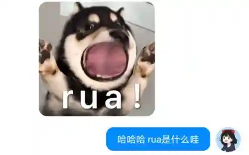 rua是什么技能插图