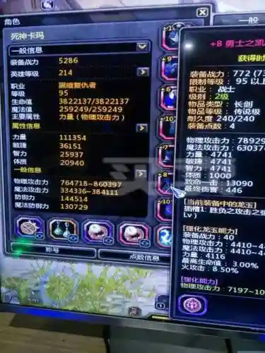 黑暗复仇者装备插图1