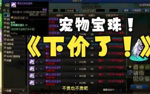 宠物装备附魔插图1