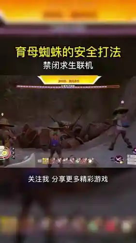 孕母蜘蛛阵容搭配_1插图