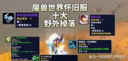 野外怪游戏掉落装备插图1