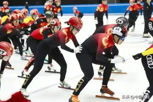 短道速滑阵容插图