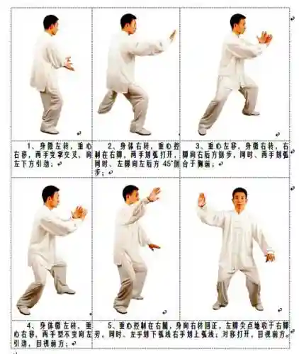 武当技能白鹤亮翅插图1