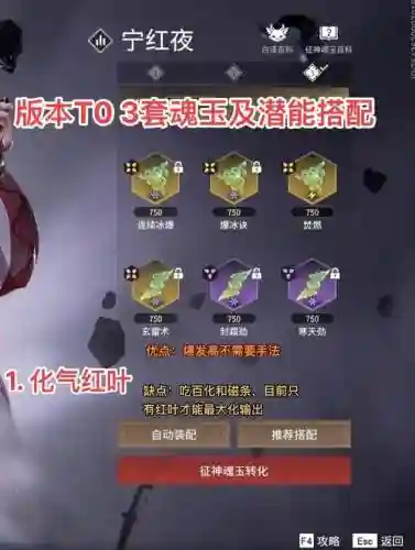 小白武魂搭配阵容_1插图