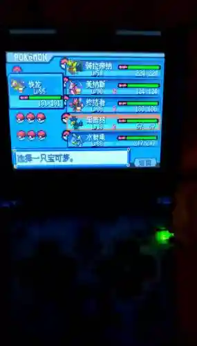 口袋妖怪白金全面详细攻略_1插图1