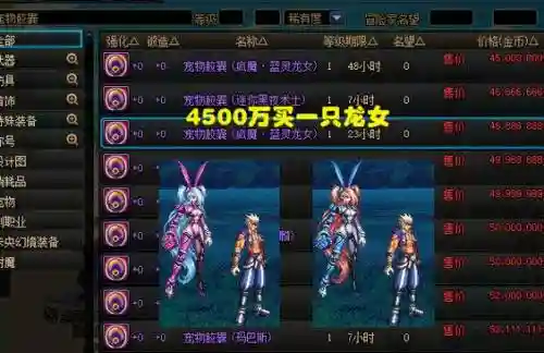 dnf宠物装备火只龙剑插图1