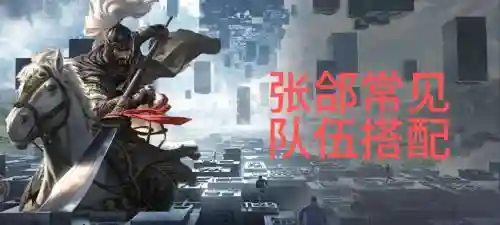 张合最佳搭配阵容插图