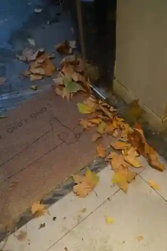落雨落叶第十五关攻略插图1