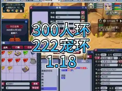 梦幻西游跑100环宠物最省钱，梦幻西游100级宠物环插图