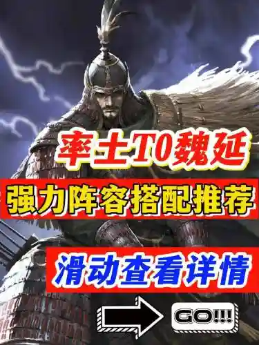 率土之滨征服魏延阵容搭配，率土之滨魏延最佳配对插图