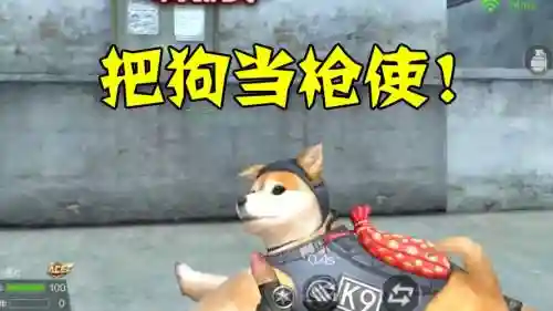 cf手游狗年武器强化，cf狗枪插图1
