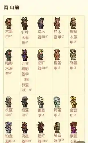 泰拉瑞亚人偶模型放装备，泰拉瑞亚人偶有什么用插图
