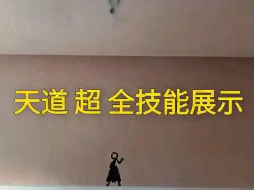 13天道技能，天道的技能插图