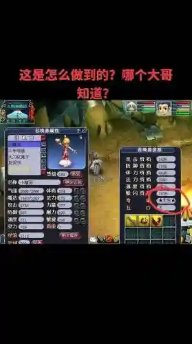梦幻西游手游芙蓉怎么抓，梦幻手游芙蓉顶四技能插图1