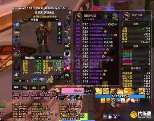 魔兽世界60级圣骑士惩戒装备，60级惩戒骑士输出手法插图