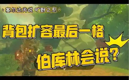荒野之息扩充武器格子，荒野之息武器扩容插图1