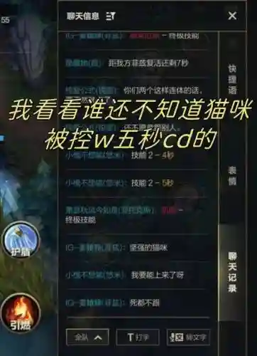 猫改技能选择，猫咪技能cd插图