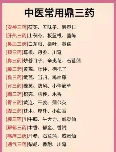 尚药阵容搭配，尚药带什么珍宝插图1