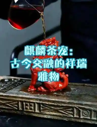 神兽技能一直失手，神兽技能次数插图