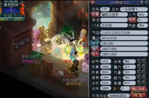 梦幻西游第一力五庄观，梦幻西游全力五庄观插图
