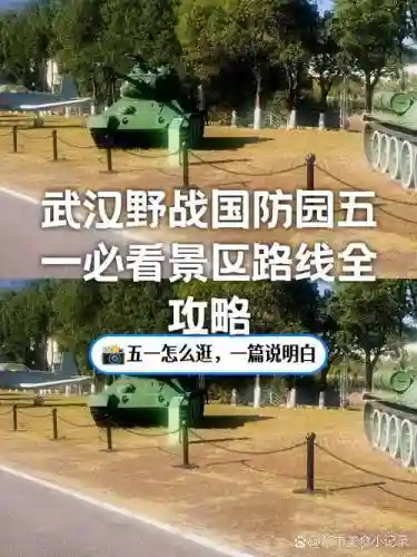 野战全攻略网站，野战方案插图