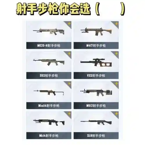 刺激战场必备武器，刺激战场里面什么枪最好用插图1