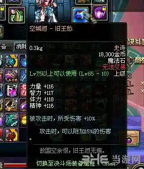 地下城史诗装备空城泪,dnf空城泪和非缄默插图1 地下城史诗装备空城泪,dnf空城泪和非缄默插图1